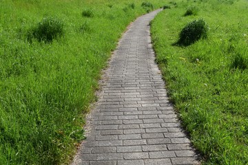 Fototapeta na wymiar 散歩道と緑の草原