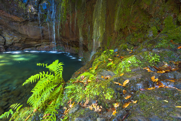 Madeira green levada with waterfall