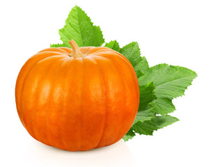 pumpkin isolated on white