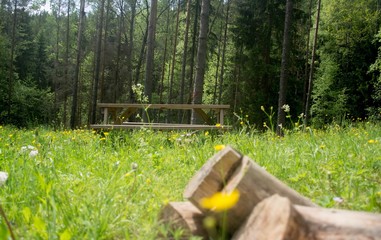 In the middle of a Finnish National Park