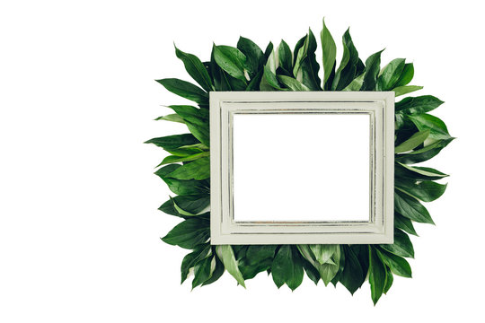 Pastel wooden frame decorated with green leaves, space for text. mock up