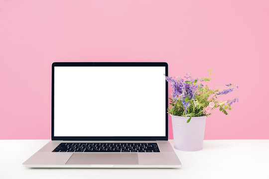Laptop with white blank screen and flowers in vase on table on pink background. mock up