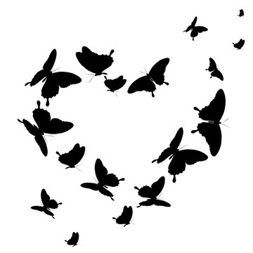 black butterfly,heart, isolated on a white