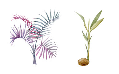 Watercolor vector hand drawn palms
