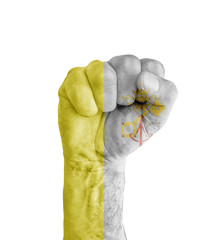 Flag of Vatican City painted on human fist like victory symbol