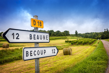 Wine French country road signs leading to the top burgundy vineyards