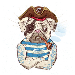 Illustration of pirate pug dog .on blue background in vector eps10