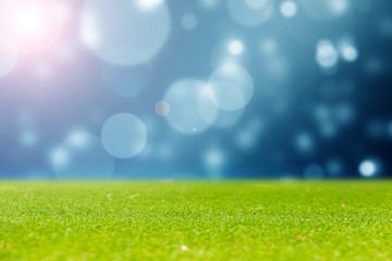 Fototapeta na wymiar green grass with blue bokeh