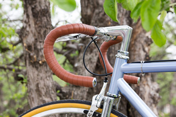 Obraz premium bicycle near the tree. Steering wheel bike close-up. Outdoors.