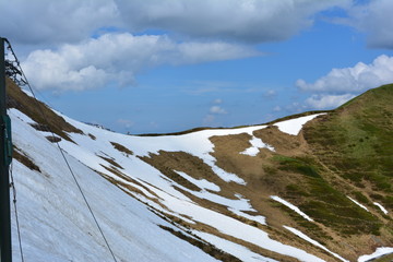 Schneetau