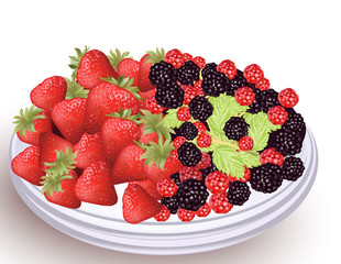 Strawberry and blackberry fresh fruits on a white plate. Vector illustration