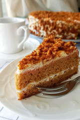 Slice of honey cake. Light background. Selective focus.