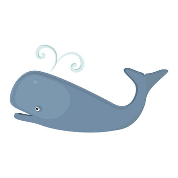 Marine mammal whale