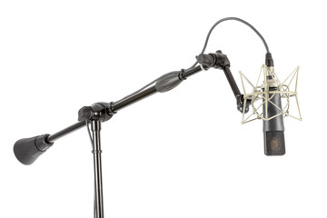 Professional microphone on a stand