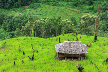 Karen village,Beautiful nature,Sufficient lifestyle Tha Song Yang District, Tak Province, Thailand.