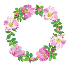 Rose Hip.wreath Greeting