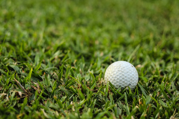 Golf balls on the green grass