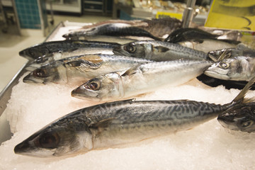 Saba on the ice in the market.