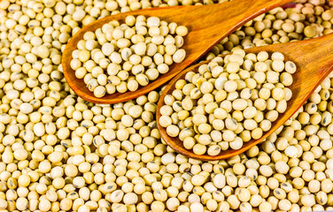 Soy bean in wood spoon full on wooden background,Macro shot of soybeans fills the frame, selective focus,texture,soy milk,soy oil