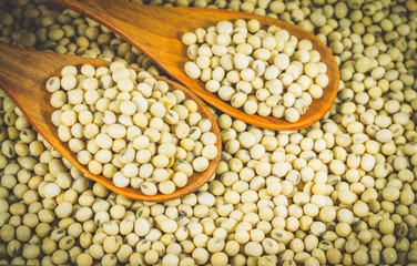 Soy bean in wood spoon full on wooden background,Macro shot of soybeans fills the frame, selective focus,texture,soy milk,soy oil