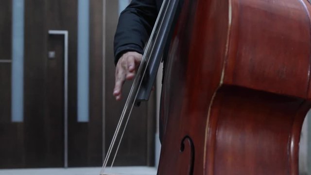 Musician playing contrabass in a outdoors jazz performance.