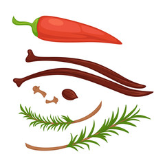 Natural ingredients for special broth isolated illustrations set