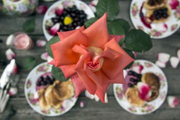 Fototapeta premium летнее утро