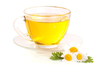 Herbal tea with fresh chamomile flowers isolated on white background