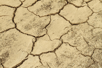 Cracked earth