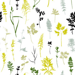Fototapeta na wymiar Seamless pattern with plants and leaves silhouettes