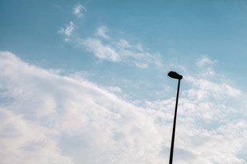 Alone lamp with blue clouds sky background | Outdoor cloudscape scenic