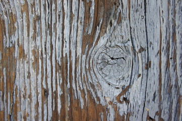 Obraz premium wood, oldwood, background