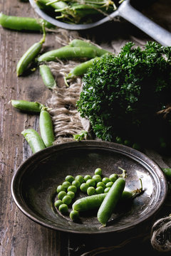 Young organic green pea pods and peas in vintage plate and bundle of parsley over old dark wooden planks with sackcloth textile background. Dark rustic style. Harvest, healthy eating.