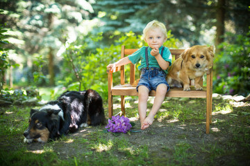 mit den Hunden spielen