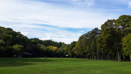 Green meadow in the middle of the park, leafy trees, High Park, Toronto, Canada