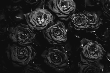 Bouquet of black and white roses