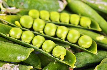 Green peas in pods