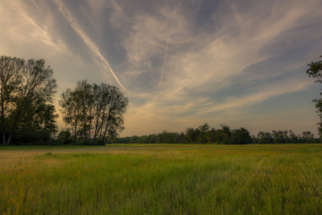 Picture of a clearing in a forest with trees at the sides and sky at sunset