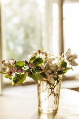 Beautiful bouquet of blooming apple tree branches standing in a glass on a table in the rural house in the blurry background of a window.