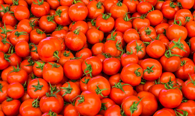 group of red tomatoes
