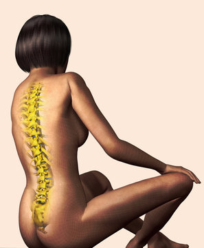 Illustration of a woman showing her spine
