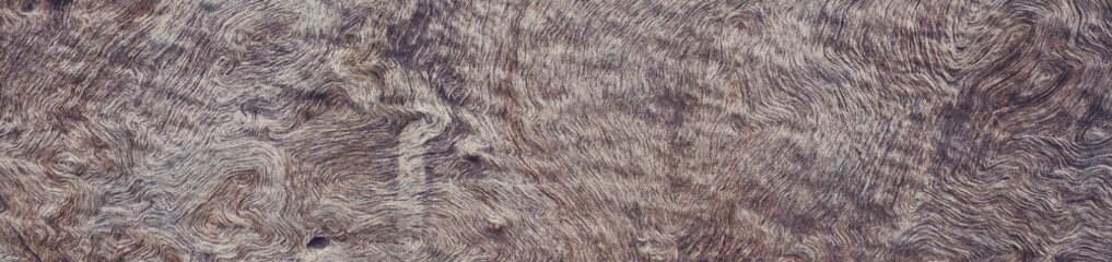 wood background texture