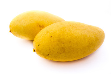 Barracuda mango,Mango flowers. It’s so sweet.