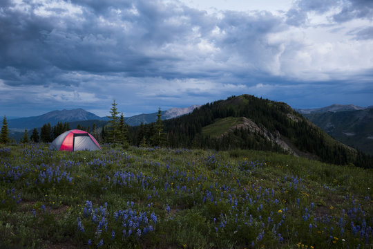 Tent at dusk, along Trail 403 in the West Elk Mountains near Crested Butte, Colorado, USA