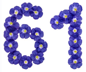 Arabic numeral 61, sixty one, from blue flowers of flax, isolated on white background