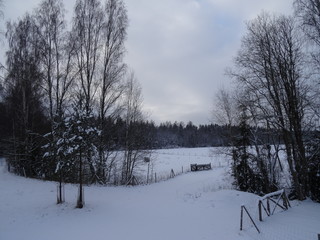 Winter landscape in Estonia