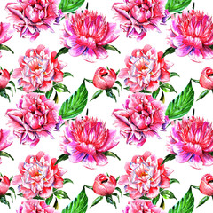 Wildflower peony flower pattern in a watercolor style isolated.