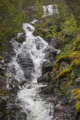 Waterfall on the mountain river in the forest in summer overcast day, Norway