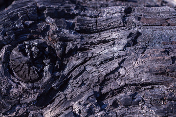 Burnt tree trunk surface closeup background/texture.