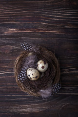 Fototapeta na wymiar Quail eggs and feathers in nest on the wooden background. Top view, free space